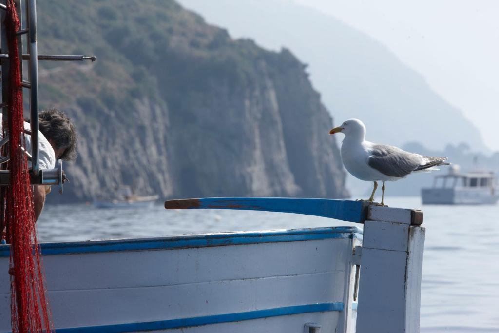 Taverna Del Capitano Marina del Cantone Εξωτερικό φωτογραφία